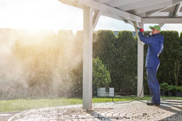 Best Rust Removal  in Palmetto, FL