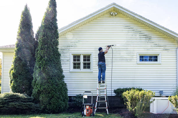 Best Patio and Deck Pressure Washing  in Palmetto, FL